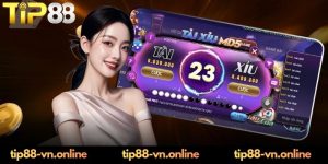 Hướng dẫn người mới cách đọc bảng kết quả ván cược tài xỉu