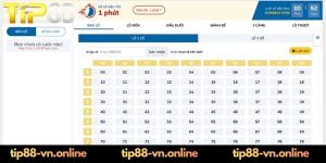 Luật chơi game cơ bản người mới cá cược tại Tip88 phải biết