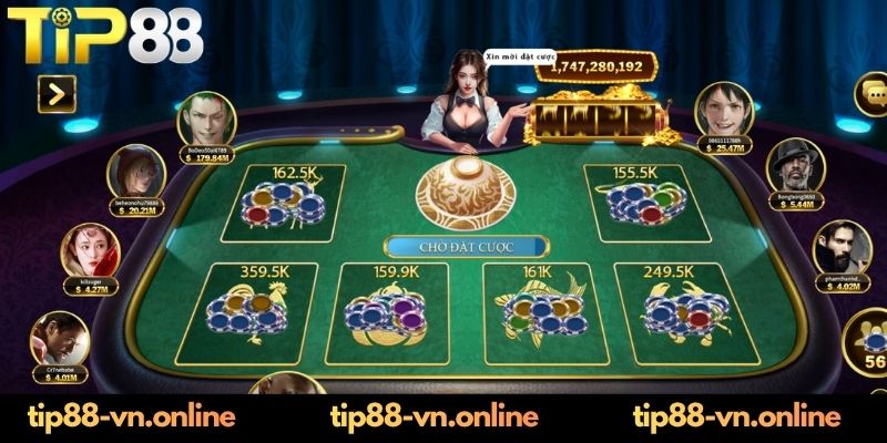 Bầu Cua Online - 3+ Bí Quyết Lắc Xúc Xắc Thắng Lớn Tại Tip88 Người mới nên học hỏi kinh nghiệm quản lý vốn cá cược bầu cua