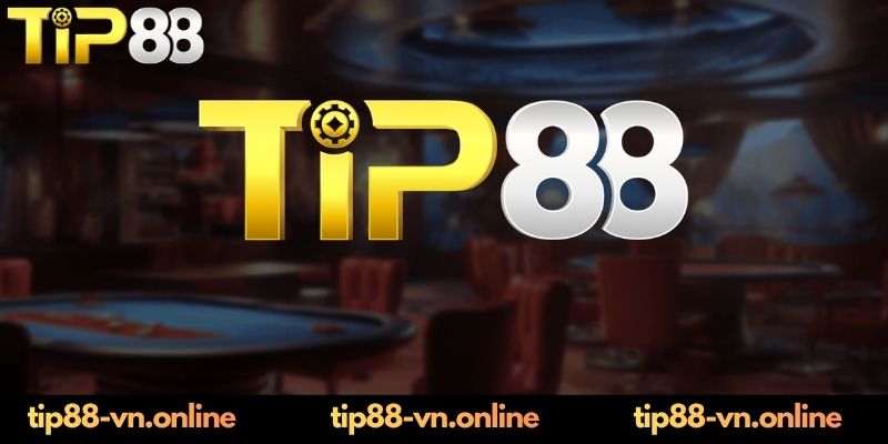 Những lưu ý khi liên hệ với TIP88 lần đầu 